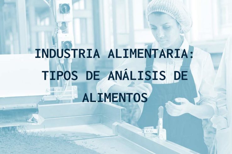 Industria alimentaria: tipos de análisis de alimentos