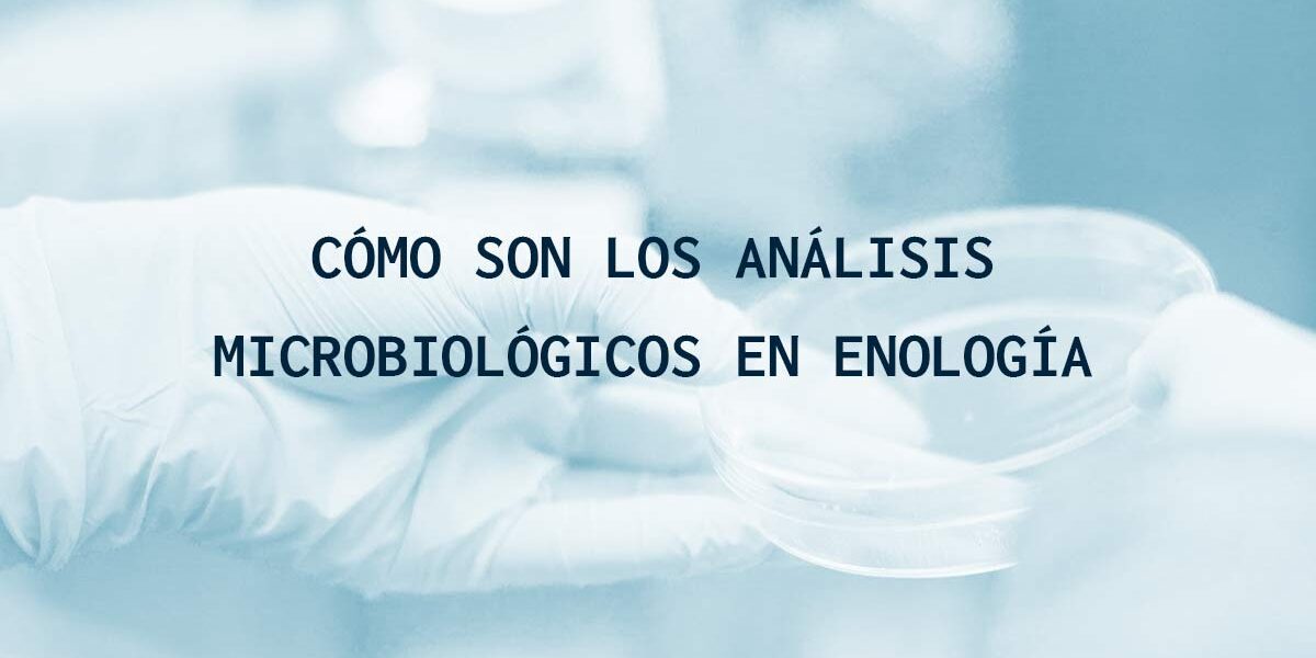 Cómo son los análisis microbiológicos en enología