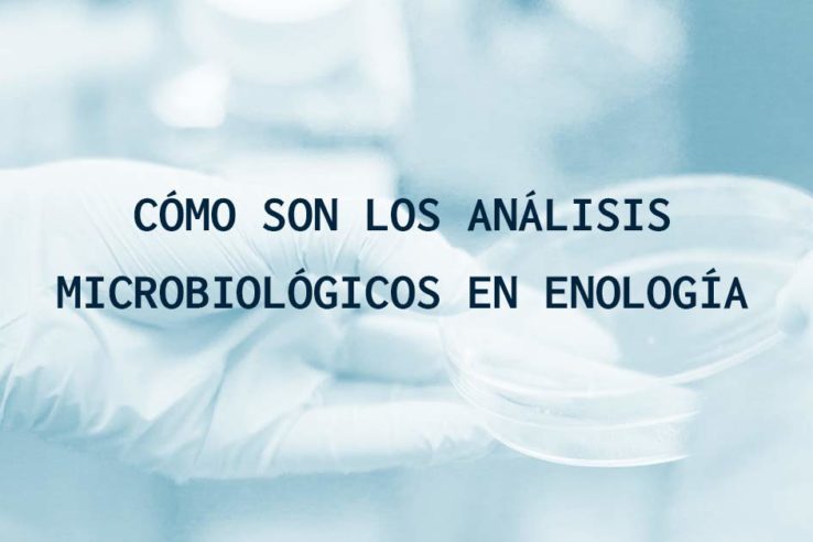 Cómo son los análisis microbiológicos en enología