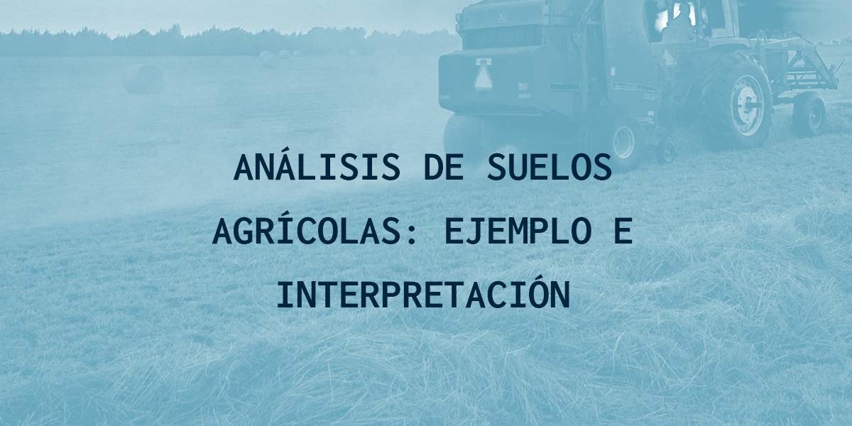 Análisis de suelos agrícolas: ejemplo e interpretación