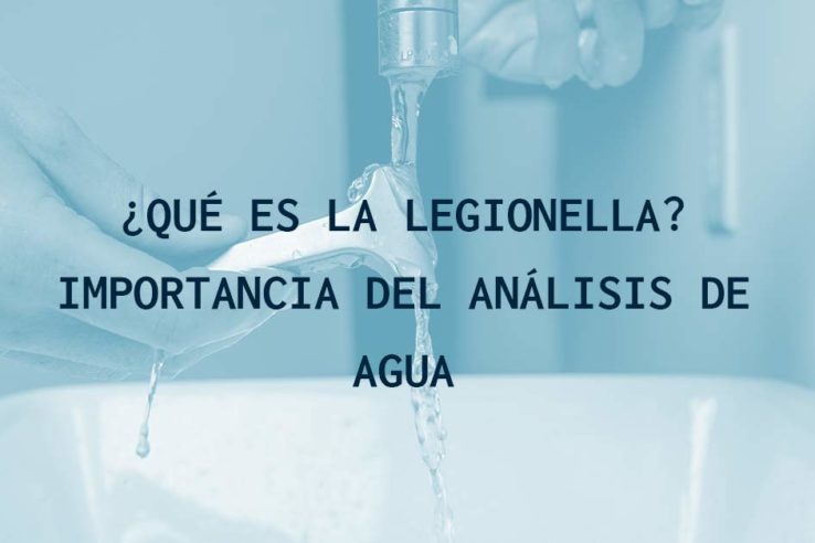¿Qué es la legionella? Importancia del análisis de agua