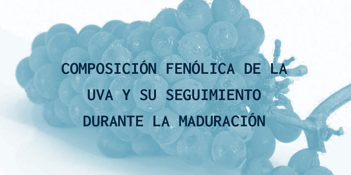 Composición fenólica de la uva y su seguimiento durante la maduración