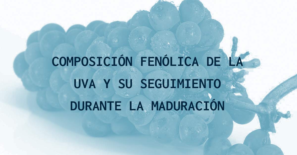 Composici&oacute;n fen&oacute;lica de la uva y su seguimiento durante la maduraci&oacute;n
