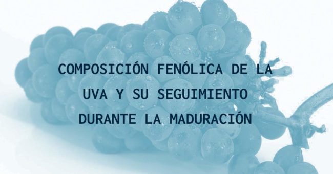 Composición fenólica de la uva y su seguimiento durante la maduración