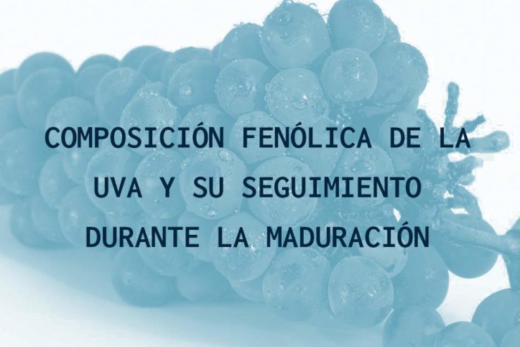 Composición fenólica de la uva y su seguimiento durante la maduración
