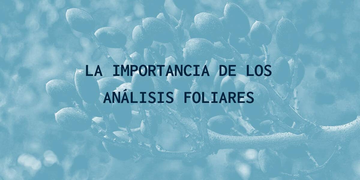 La importancia de los análisis foliares