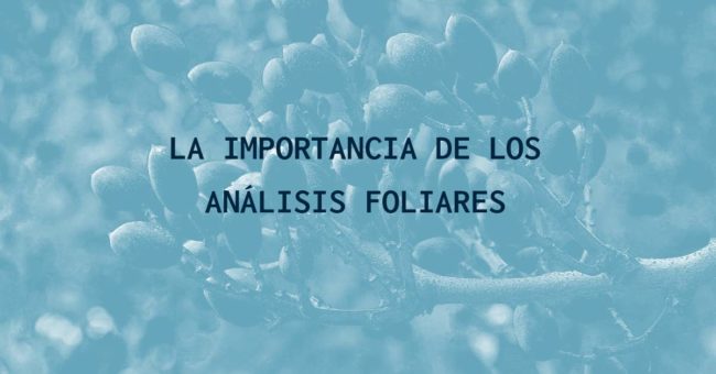 La importancia de los análisis foliares