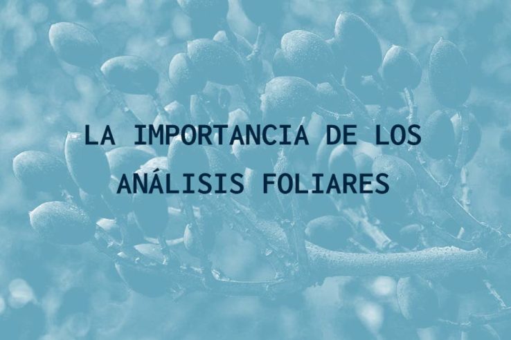 La importancia de los análisis foliares