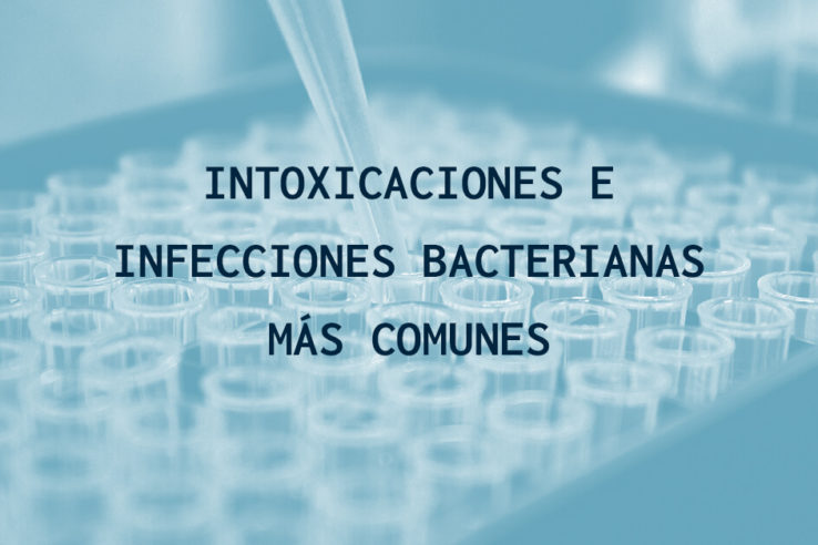 Intoxicaciones e infecciones bacterianas más comunes Innotec