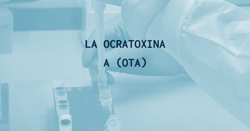 La ocratoxina A (OTA)