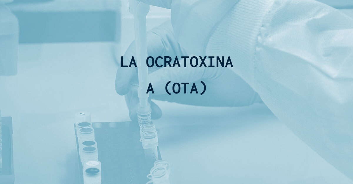 La ocratoxina A (OTA)