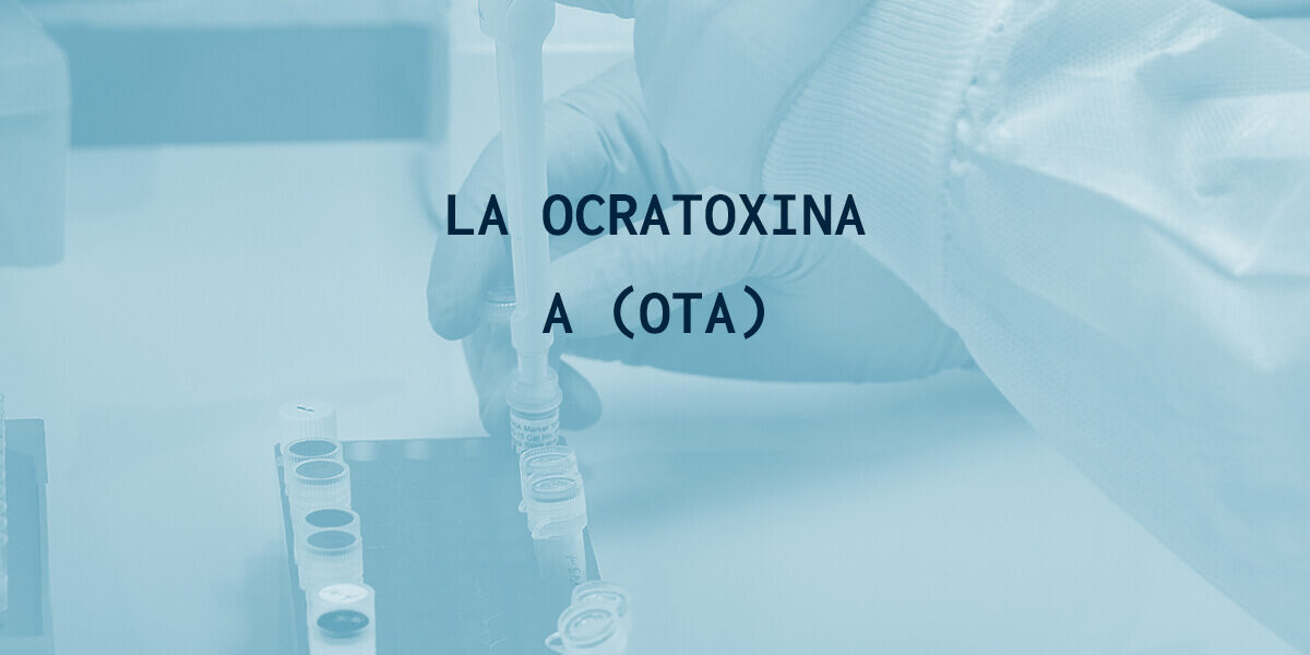 La ocratoxina A (OTA) La ocratoxina A (OTA)