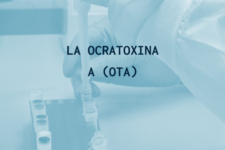 La ocratoxina A (OTA)