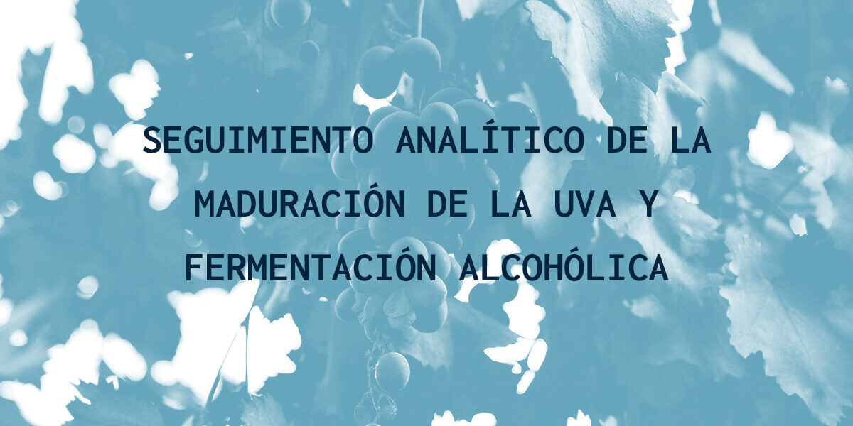 Maduracion de la uva y fermentación alcoholica Maduracion de la uva y fermentación alcoholica
