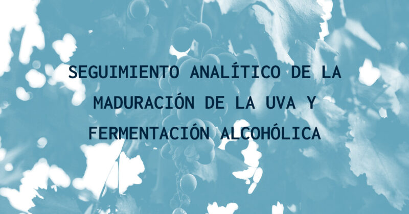 Maduracion de la uva y fermentación alcoholica