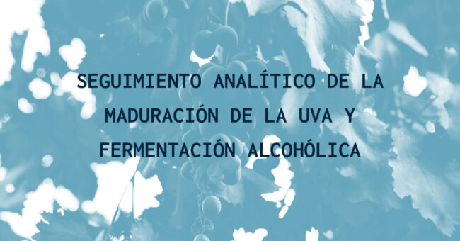 Maduracion de la uva y fermentación alcoholica Maduracion de la uva y fermentación alcoholica