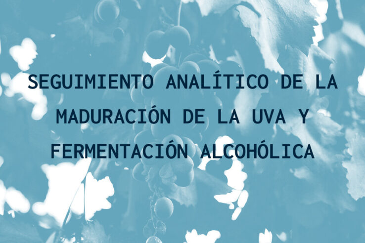 Maduracion de la uva y fermentación alcoholica