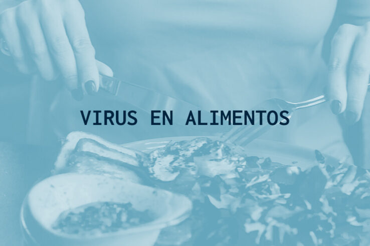 virus en alimentos