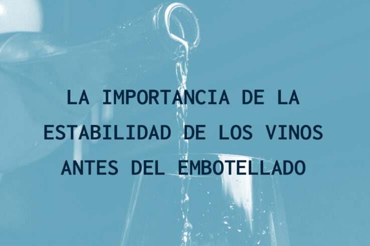 La importancia de la estabilidad de los vinos antes del embotellado