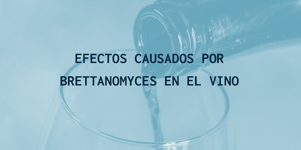 brettanomyces-en-el-vino