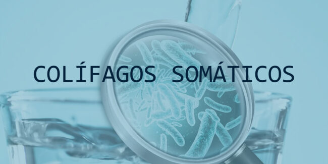 COLIFAGOS SOMATICOS