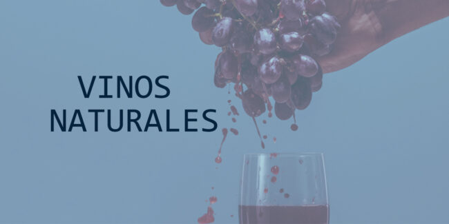 PLANTILLA BLOG copia