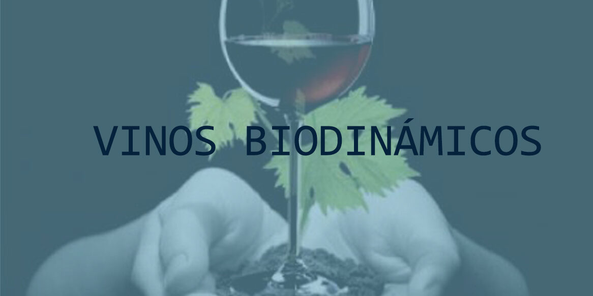 VINOS BIODINÁMICOS copia