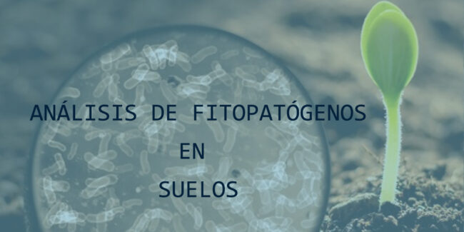 FITOPATOGENOS 1