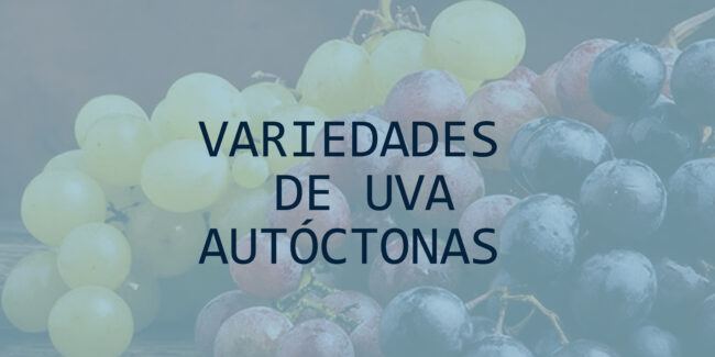 VARIEDADES DE UVA AUTOCTONAS