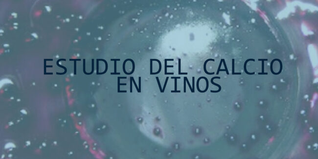 ESTUDIO DE CALCIO EN VINOS